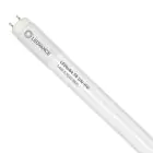 Ledvance Tube LED T8 Performance (UN) High Output 14W 2100lm - 865 Lumière Du Jour | 120cm - Équivalent 36W